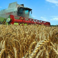 Краснодарский край выделит 97 млрд рублей на развитие сельского хозяйства