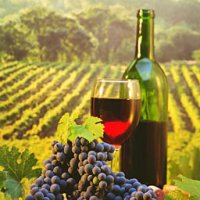 Олег Толмачев: По итогам года цены на вино могут вырасти на 40%