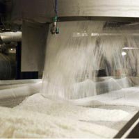 Краснодарский край планирует произвести в 2016 году 1,2 млн тонн сахара 