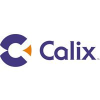 Calix делает ставку на объединение технологий доступа в России