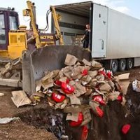 С начала года на Кубани уничтожили 13 тонн санкционных продуктов