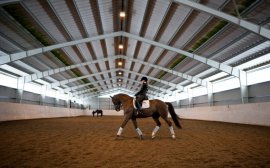 В Новороссийске могут построить крытый конно-спортивный манеж