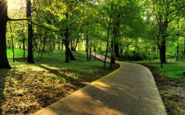 В Сочи откроют новый парк к юбилею Краснодарского края