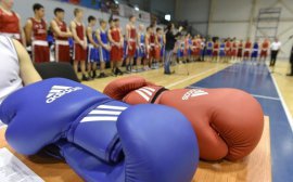 «Ростелеком» в Калмыкии выступил телекоммуникационным партнером Чемпионата России по боксу среди студентов 