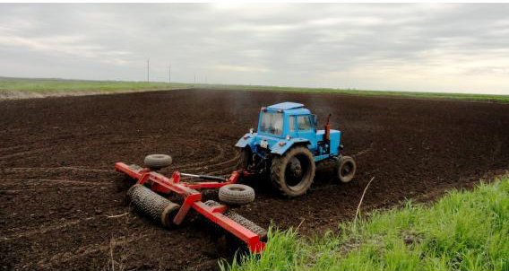 Аграрии Краснодарского края намерены собрать хороший урожай риса