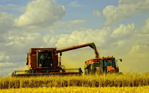 На Кубани продолжается сбор зерновых культур
