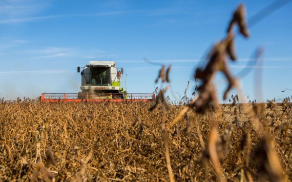 На Кубани в 2017 году аграрии получили рекордный урожай сои