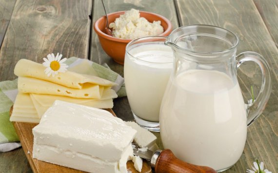 На Кубани производство молока к 2030 году вырастет в пять раз‍