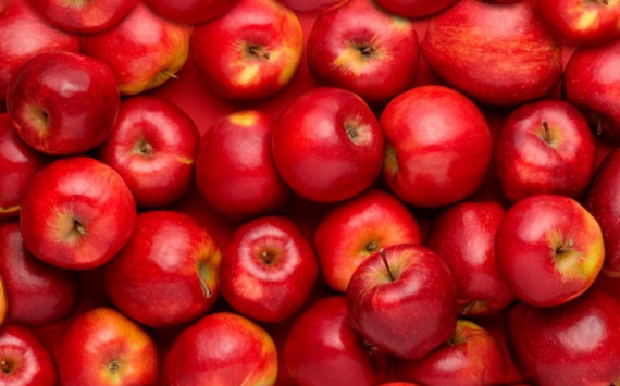 На Кубани в 2018 году планируют собрать 320 тыс. тонн яблок
