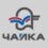 Чайка