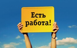 На Кубани падает уровень безработицы