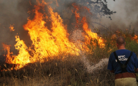 В этом году Кубань закупит дополнительную технику для борьбы с природными пожарами