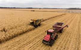 Аграрии Краснодарского края в 2021 году собрали рекордный урожай