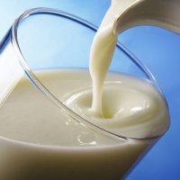 На Кубани будет разработана единая стратегия развития молочной промышленности