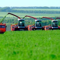 Краснодарский край лидирует по аграрному страхованию среди других регионов РФ