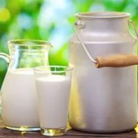 В Краснодарском крае за 2015 год выросли надои молока