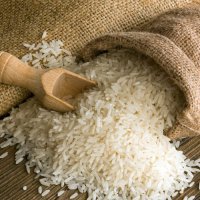 На Кубани приступили к уборке посевных площадей риса