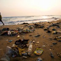 Минприроды предлогает запретить пластиковую посуду в Сочи 