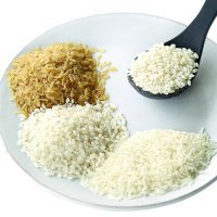 На Кубани проведут испытания 4-х новых сортов риса