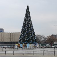 Участниками новогоднего шествия в Краснодаре стали 300 человек