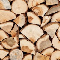 Минприроды Кубани ожидает дефицит дров в регионе