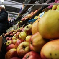 На Кубани обнаружена крупная партия санкционных овощей и фруктов