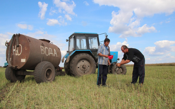 На Кубани сельхозкооперативам выдадут грантов на 220 млн рублей