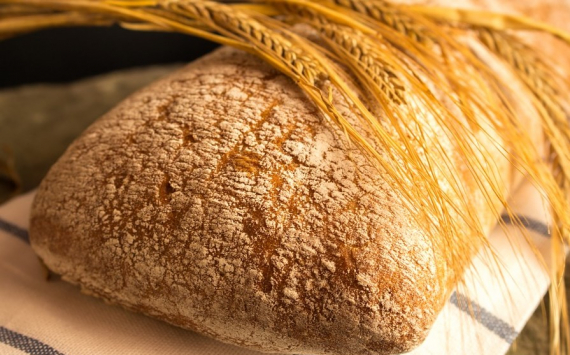 На Кубани произведут 300 тыс. тонн хлеба