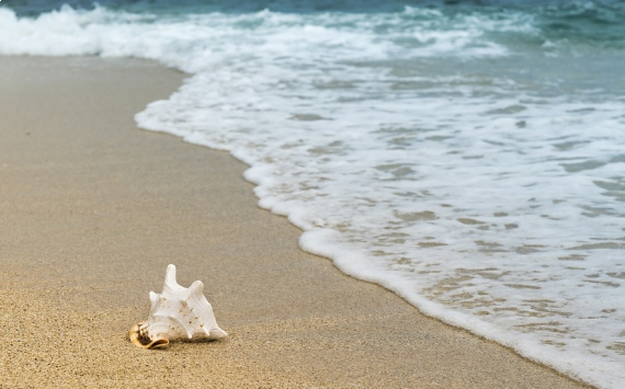 В Геленджике благоустроили пляжи, приносившие убытки