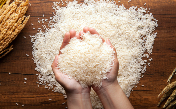 Иордания стала 20-й страной, куда «АФГ Националь» экспортирует кубанский рис при поддержке Россельхозбанка
