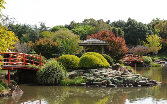 В Краснодарском крае построят самый большой за пределами Японии японский сад