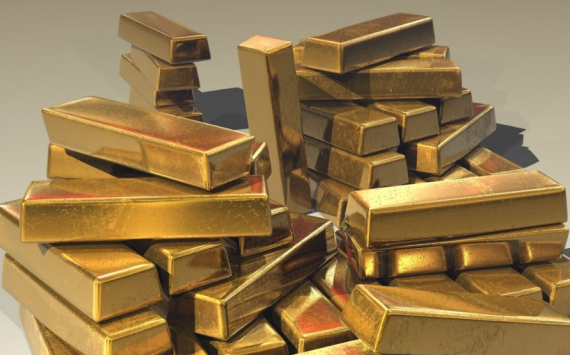 В России предложили засекретить данные о золотовалютных резервах