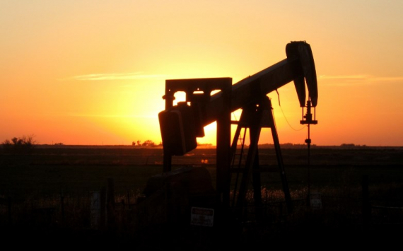 В России создадут национальный эталон нефти