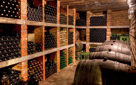 На Кубани откроется крупнейшее в России винохранилище