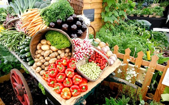 Россельхозбанк поддержит развитие садоводства в Краснодарском крае 